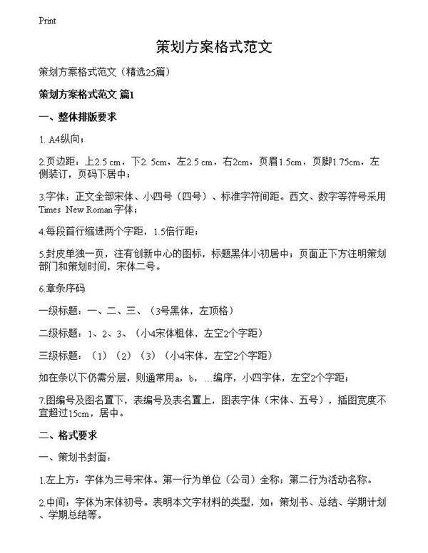 策划方案格式范文