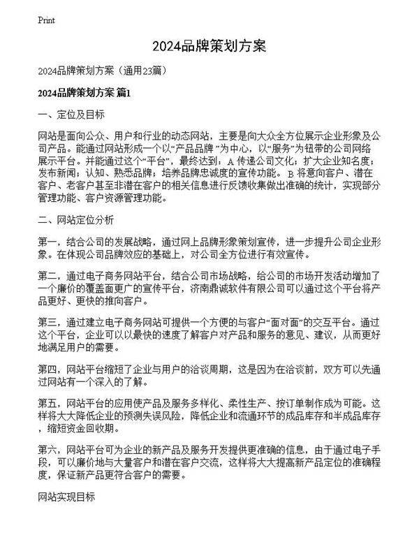 2024品牌策划方案