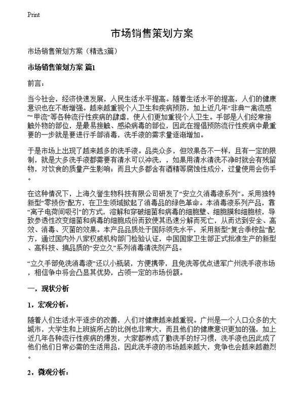 市场销售策划方案