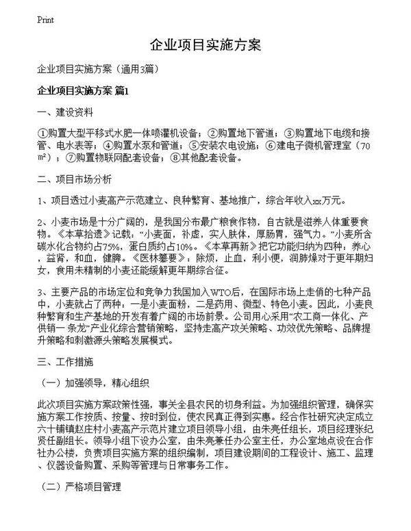 企业项目实施方案