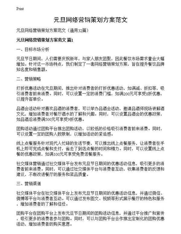元旦网络营销策划方案范文