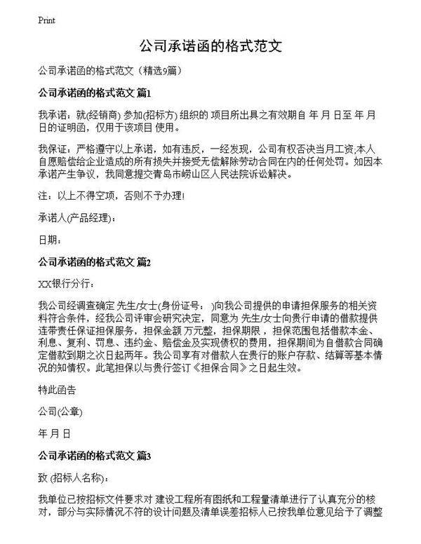 公司承诺函的格式范文