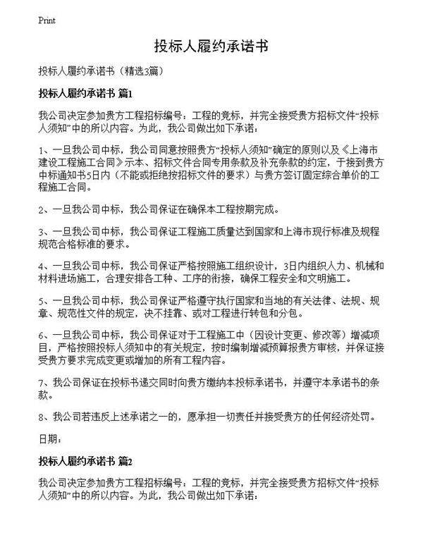 投标人履约承诺书