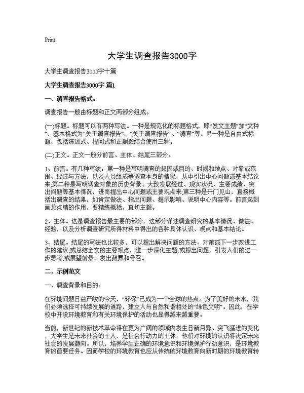 大学生调查报告3000字