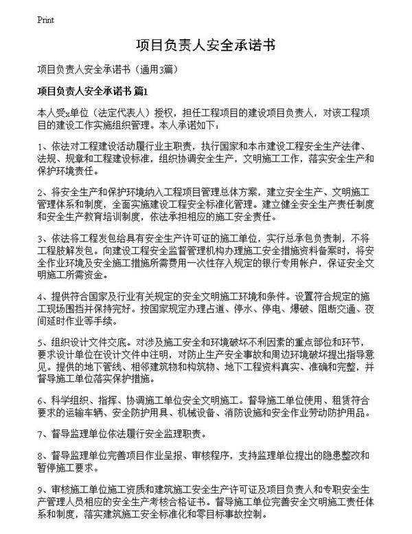 项目负责人安全承诺书