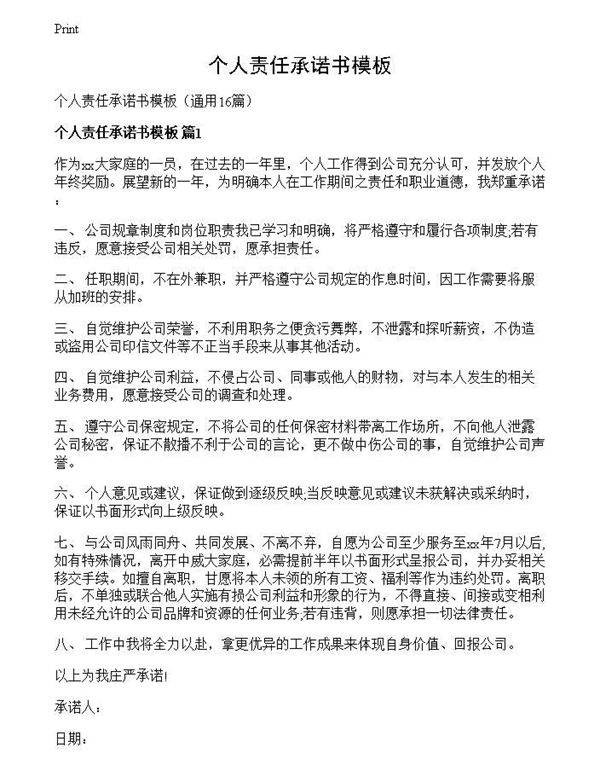 个人责任承诺书模板