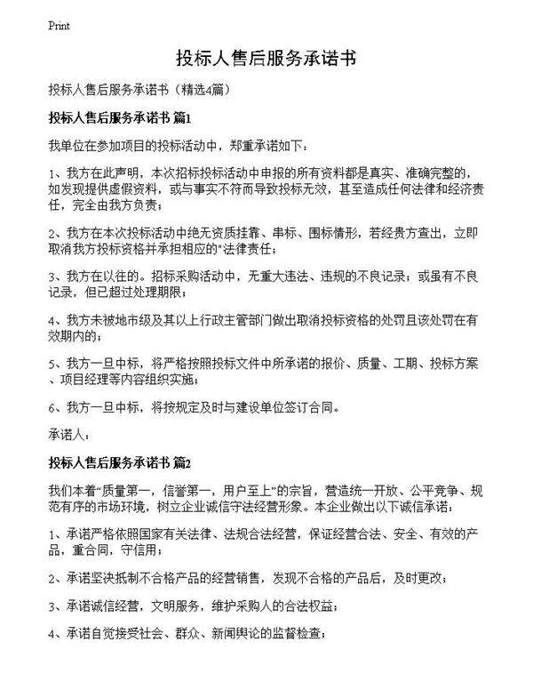 投标人售后服务承诺书