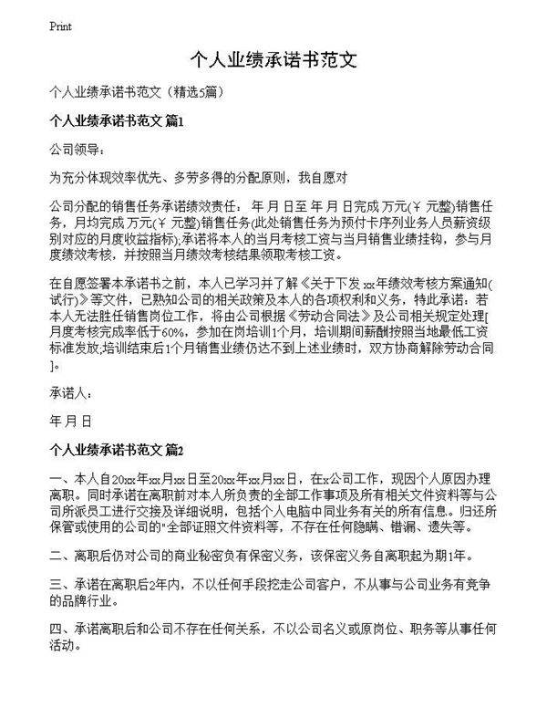 个人业绩承诺书范文