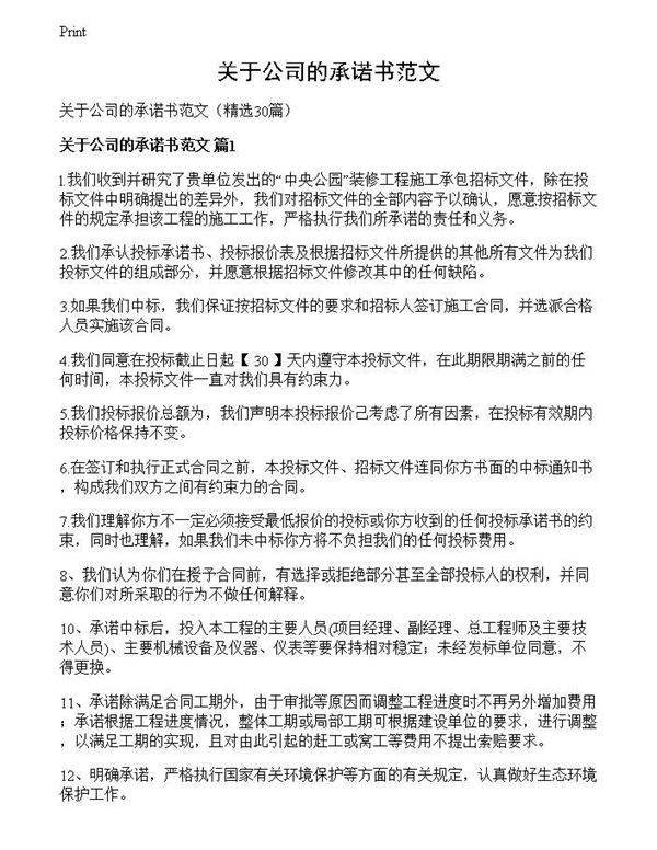 关于公司的承诺书范文