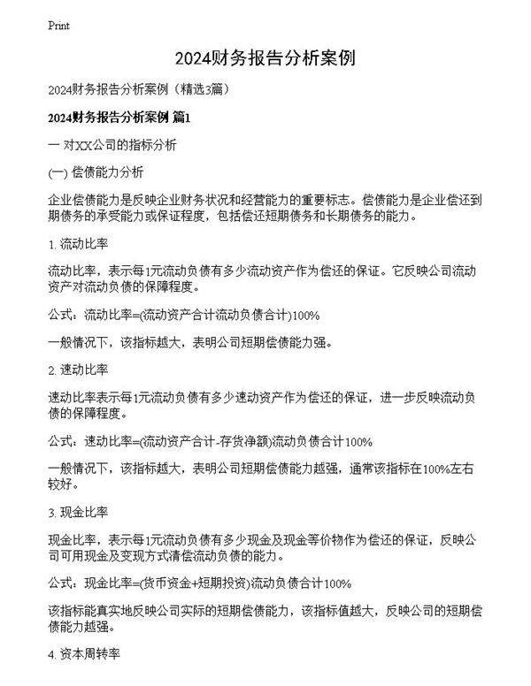 2024财务报告分析案例