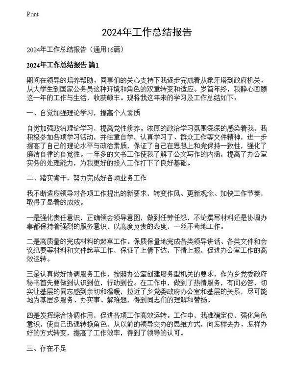 2024年工作总结报告