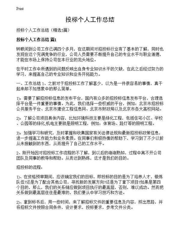 投标个人工作总结
