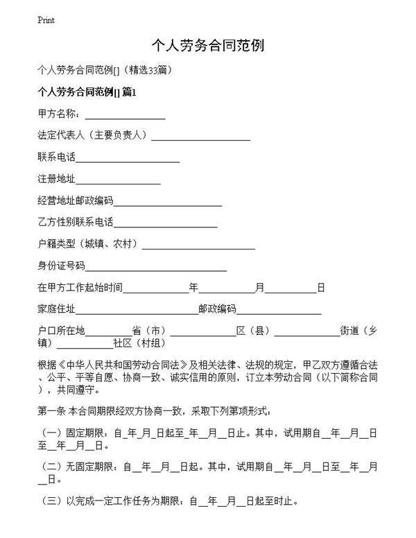个人劳务合同范例