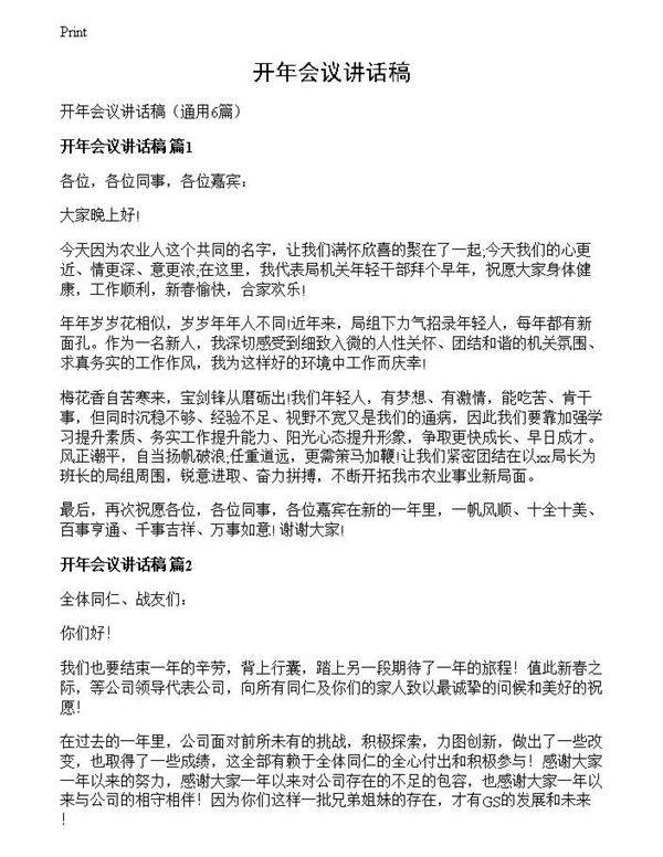 开年会议讲话稿