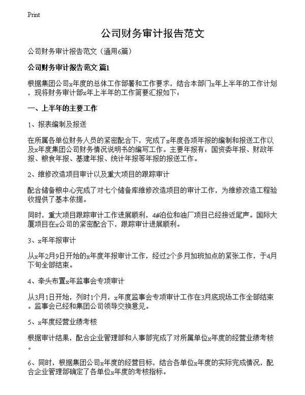 公司财务审计报告范文