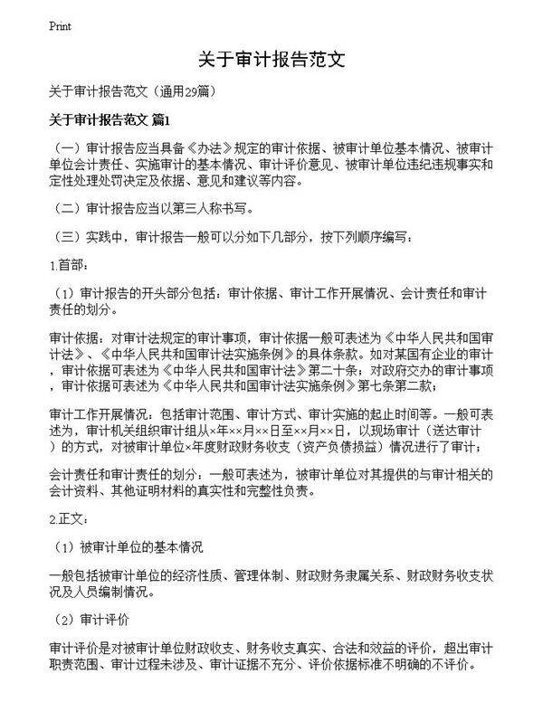 关于审计报告范文