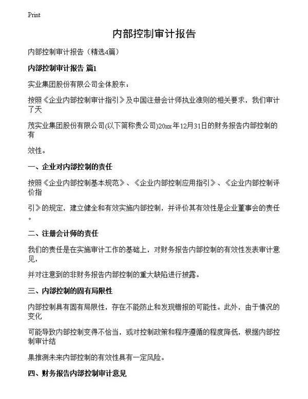 内部控制审计报告