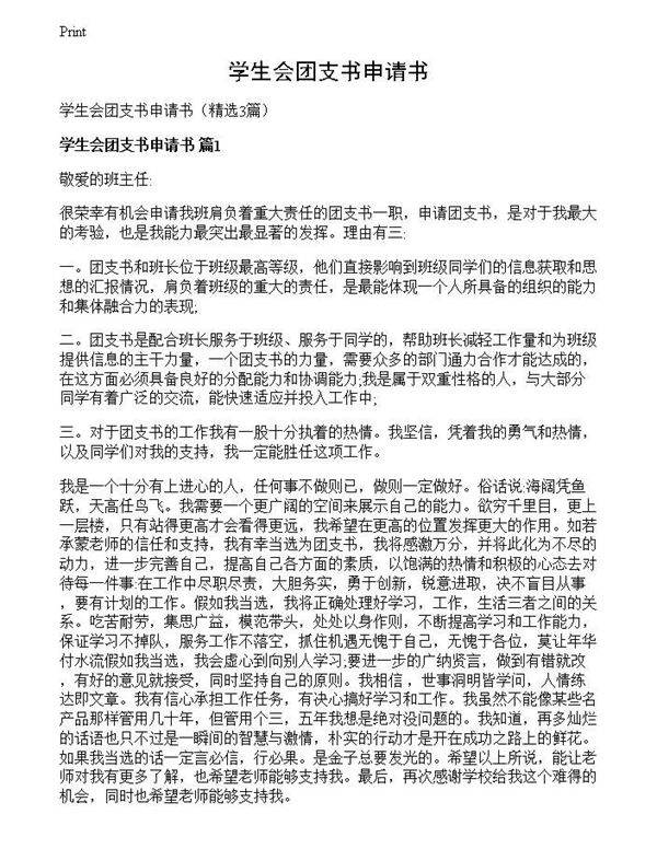 学生会团支书申请书