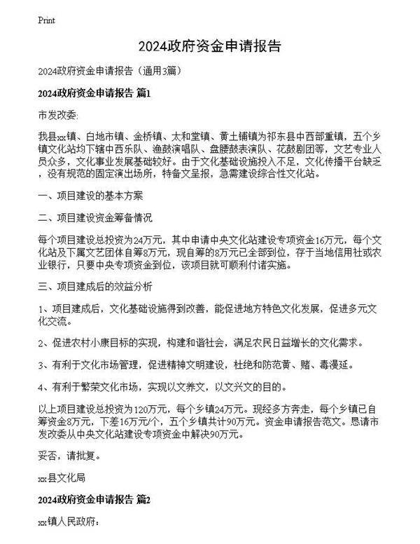 2024政府资金申请报告