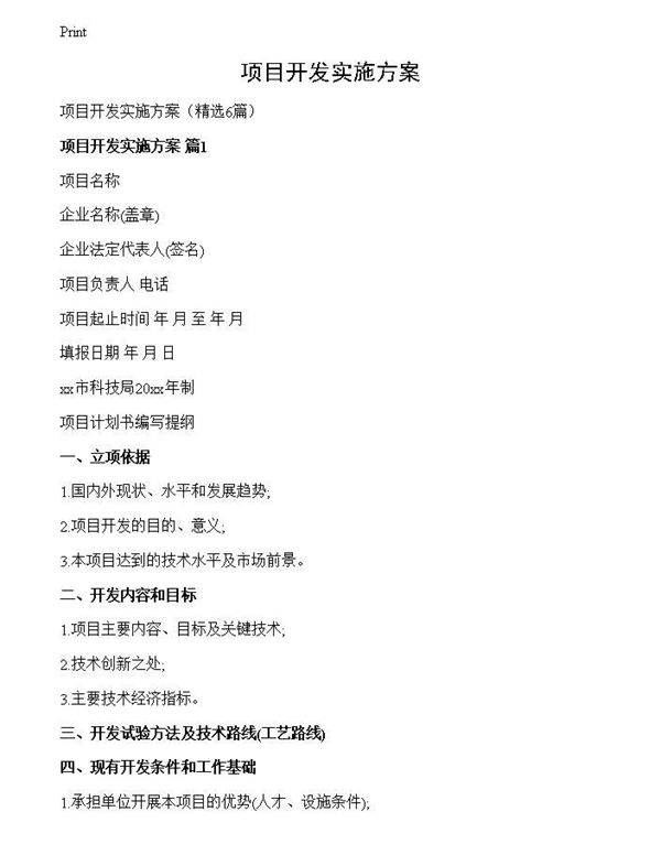 项目开发实施方案