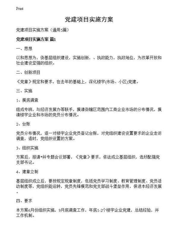 党建项目实施方案