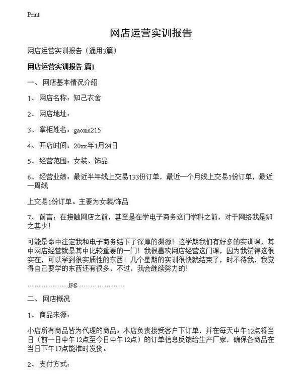 网店运营实训报告