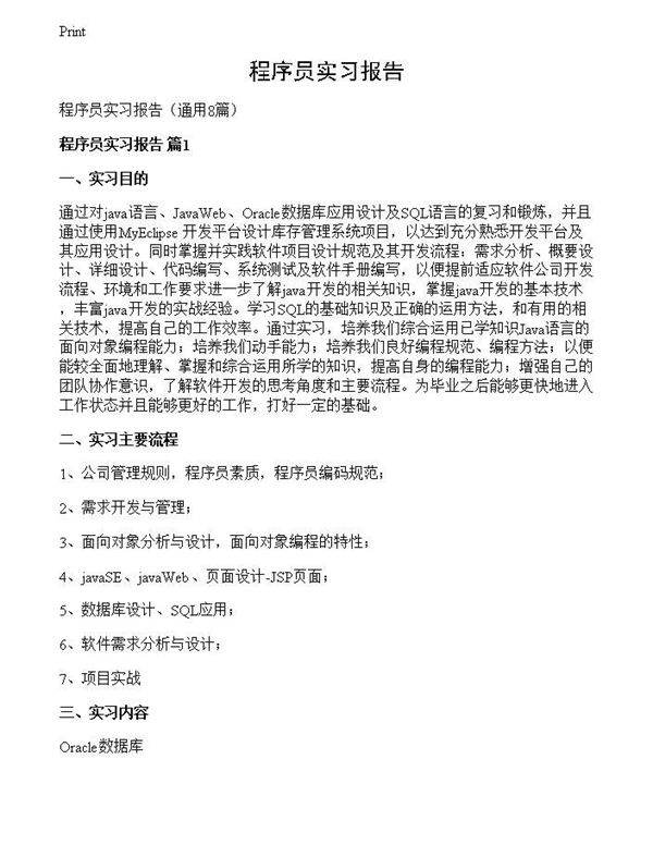 程序员实习报告