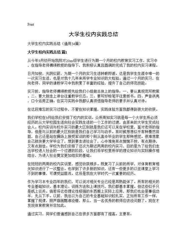 大学生校内实践总结34篇