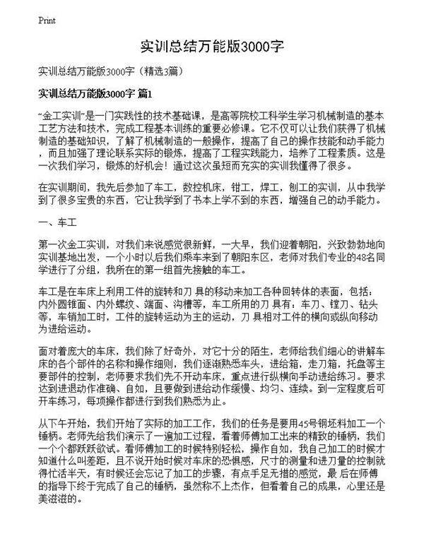 实训总结万能版3000字