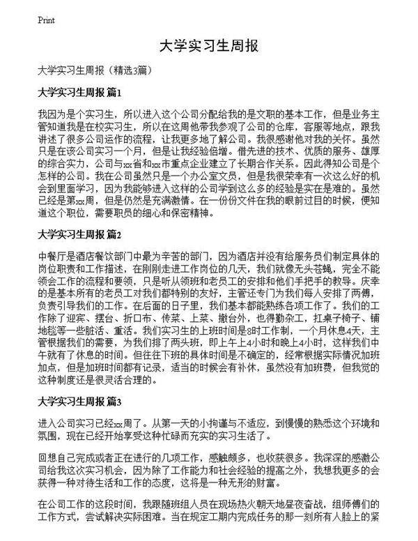 大学实习生周报