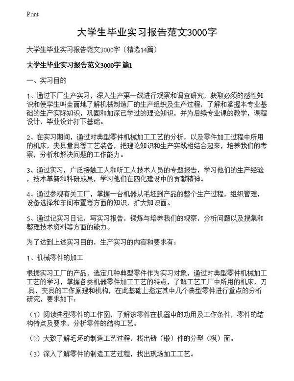 大学生毕业实习报告范文3000字