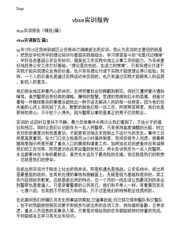 vbse实训报告