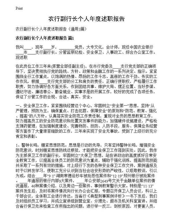 农行副行长个人年度述职报告