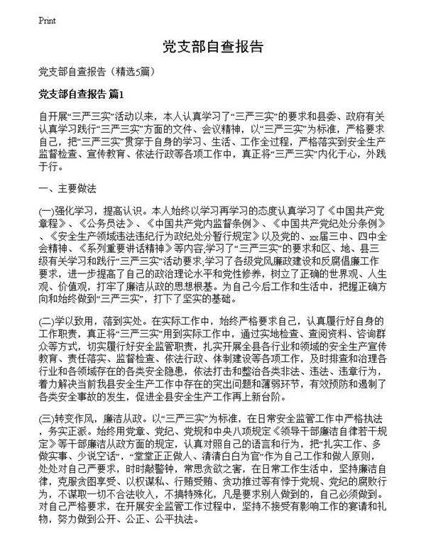 党支部自查报告