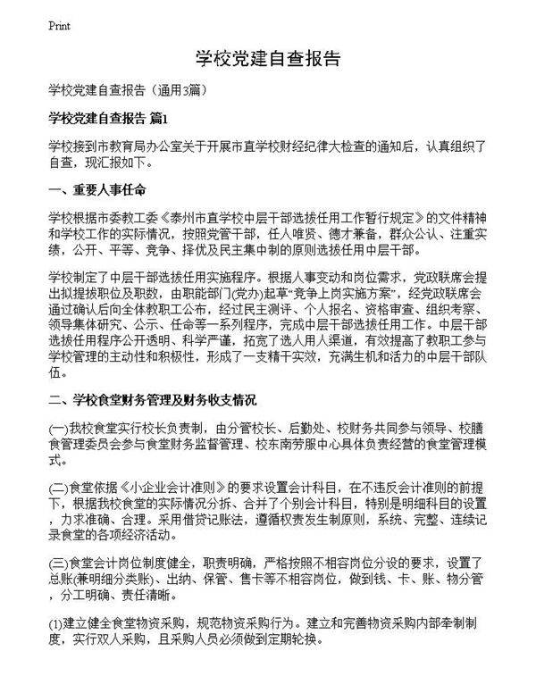 学校党建自查报告