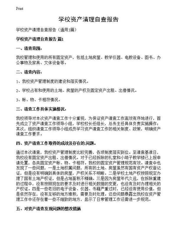 学校资产清理自查报告