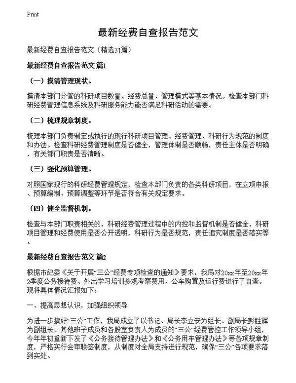 最新经费自查报告范文
