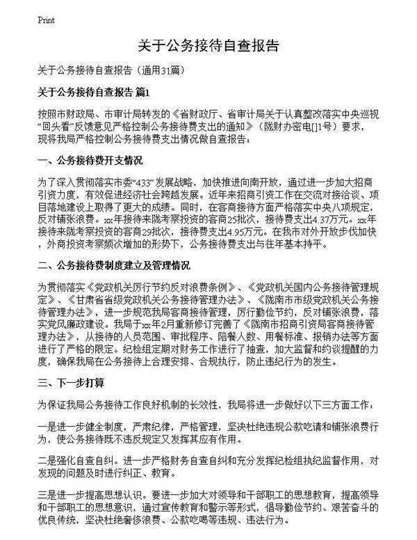 关于公务接待自查报告