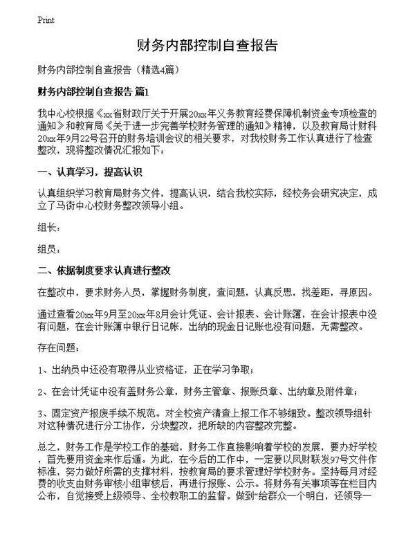 财务内部控制自查报告