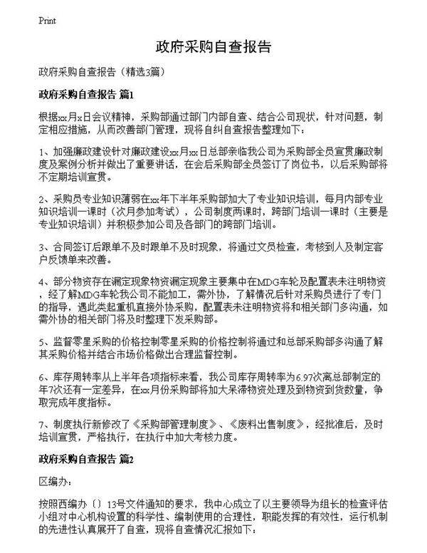 政府采购自查报告