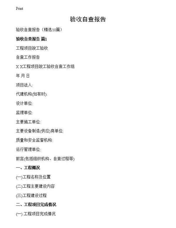 验收自查报告