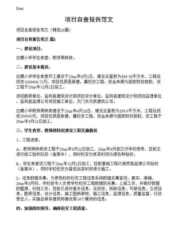 项目自查报告范文