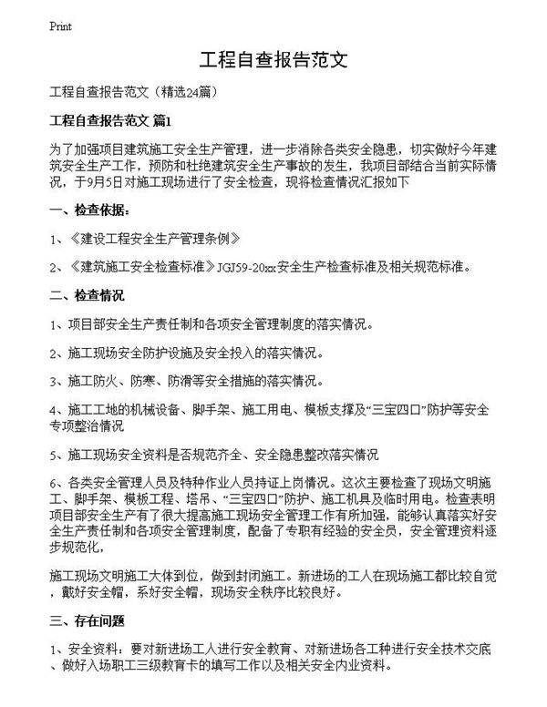 工程自查报告范文