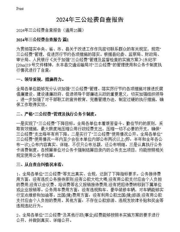 2024年三公经费自查报告