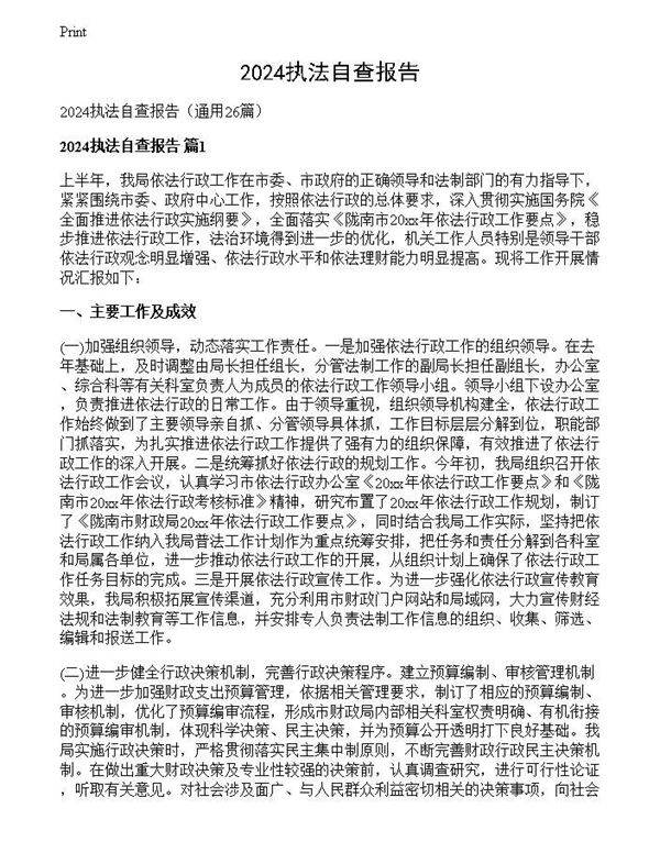 2024执法自查报告