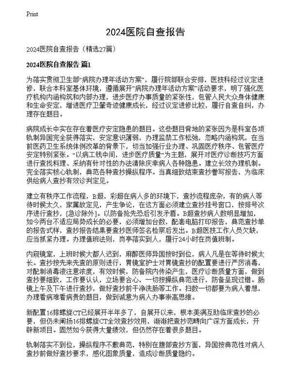 2024医院自查报告