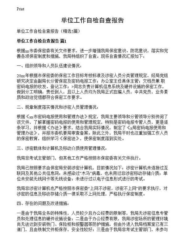 单位工作自检自查报告