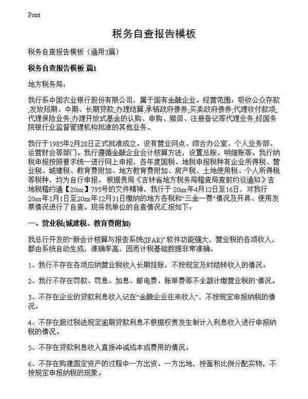 税务自查报告模板