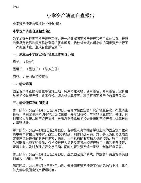 小学资产清查自查报告