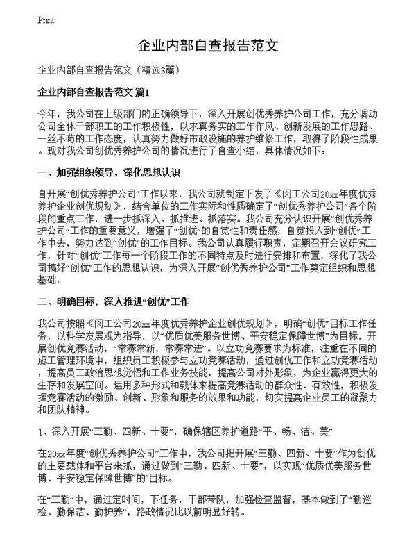 企业内部自查报告范文